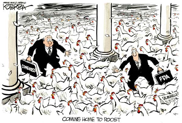 chickens-home.jpg