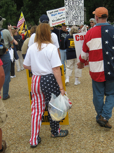 flag-desecrators.jpg