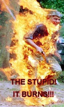stupid-burns.jpg